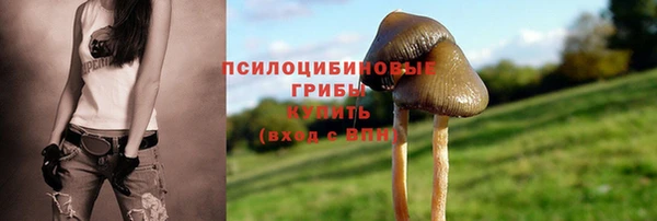 ALPHA PVP Абаза